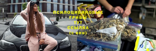 таблы Алзамай