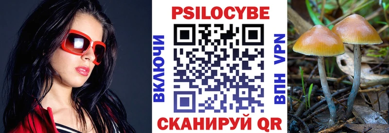 Псилоцибиновые грибы мицелий  маркетплейс как зайти  Суровикино  дарнет шоп 